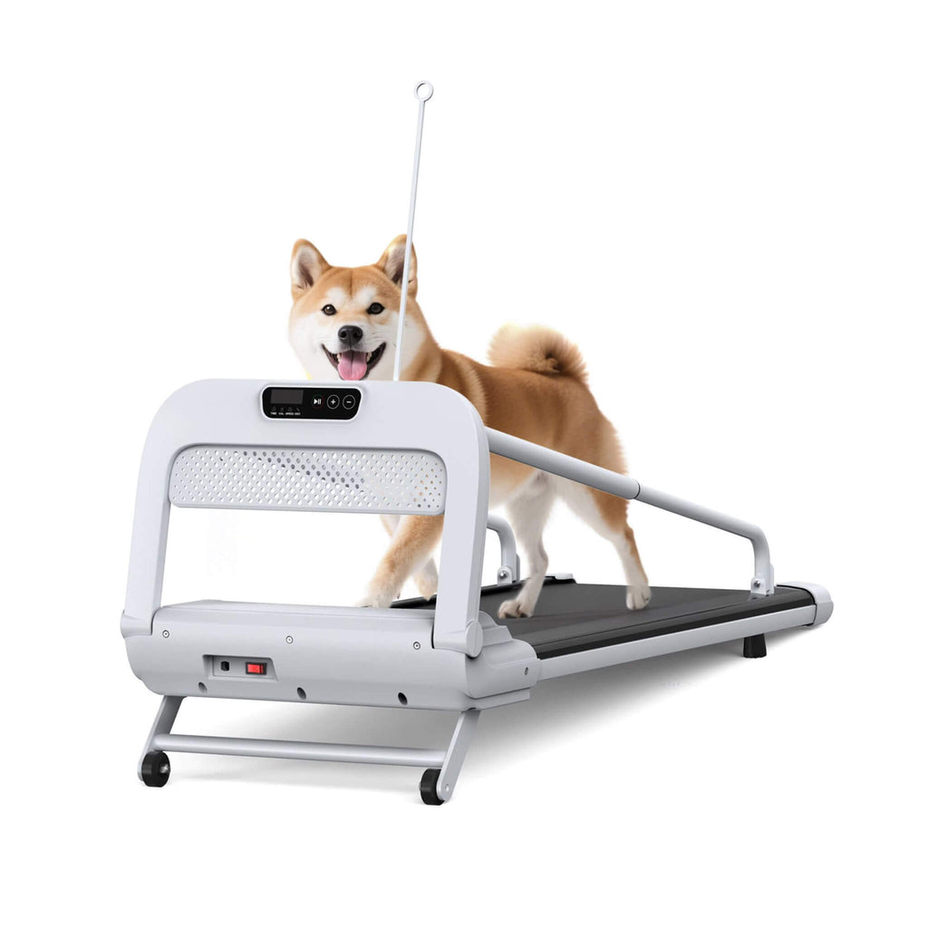 Smart Pet Treadmill With Adjustable Speed For Small And Medium Dogs (SAK72537)